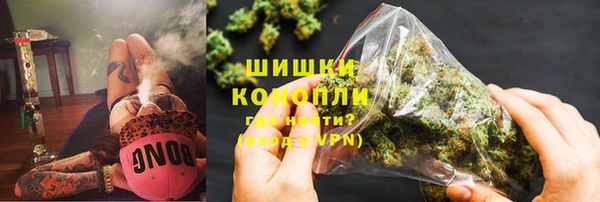 хмурый Арсеньев