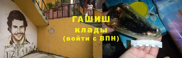 хмурый Арсеньев