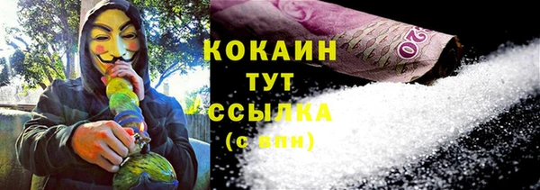 хмурый Арсеньев