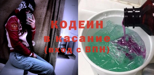 хмурый Арсеньев