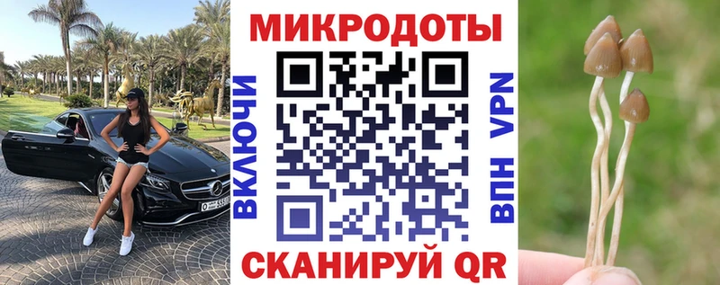 Псилоцибиновые грибы GOLDEN TEACHER  как найти   блэк спрут как зайти  Теберда 