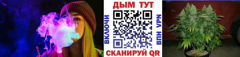 Канабис тримм  купить наркотик  Теберда 